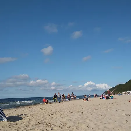 Mi Dzywodzie Near Sandy *