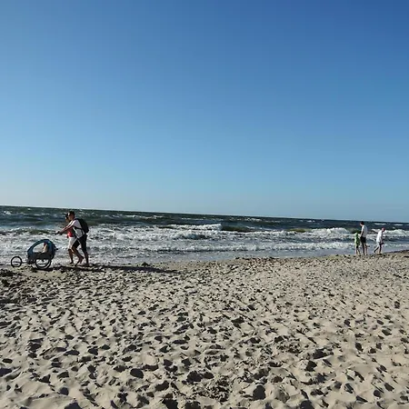Mi Dzywodzie Near Sandy *